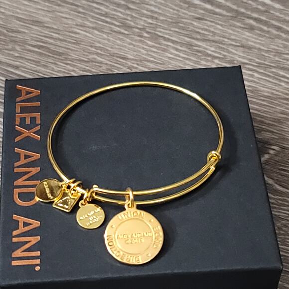 Alex and Ani Arrows of Friendship Charm Bracelet in Shiny Gold - Picture 6 of 8